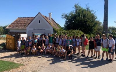 Erdei iskola a Balaton-felvidéken